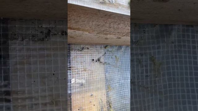 31-07-2024 смотреть онлайн