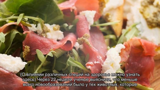 Шафран защищает от новообразований печени