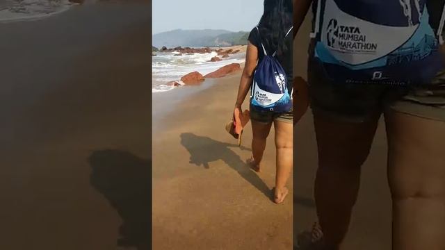 Cola beach original смотреть онлайн