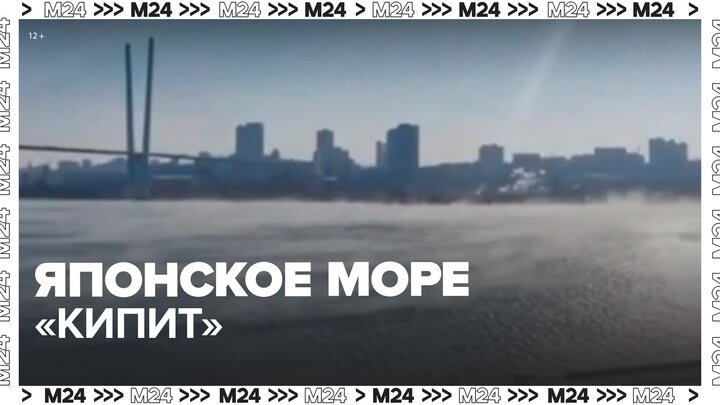 Во Владивостоке "закипело" Японское море - Москва 24