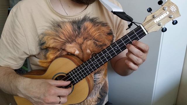 урок на укулеле Полюшко-поле мелодия смотреть онлайн