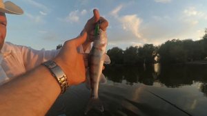 Рыбалка на Ахтубе, База Селитрон. Изучаю водоем, осваиваюсь на местности.