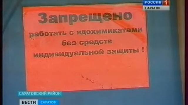В Самойловском районе продолжается карантин смотреть онлайн