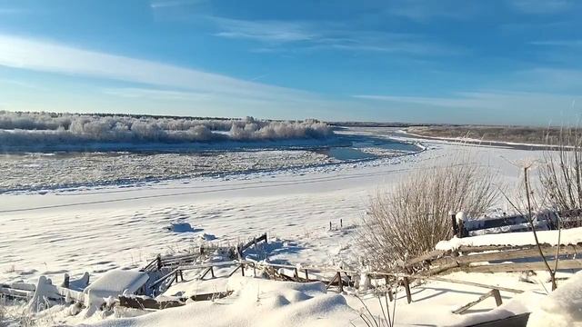 Жубревы// Вернулись, нахамили и снова ушли// Обзор видео// смотреть онлайн