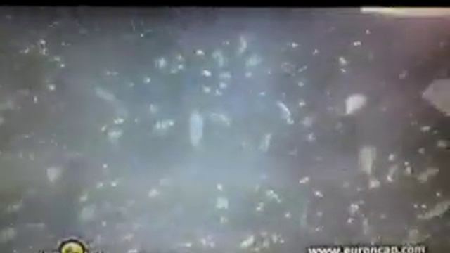 The NCAP | Skoda Rapid | 2012 | Crash Test смотреть онлайн