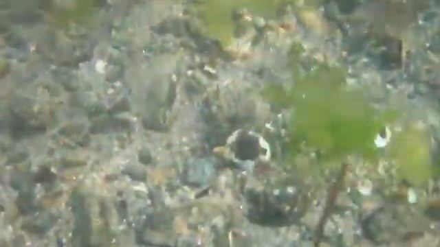 подводное царство смотреть онлайн