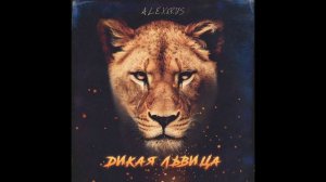 Дикая львица ты моя царица оригинал