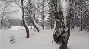 "Обо всём понемногу" сборник стихотворений