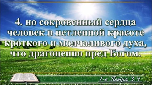 ВидеоБиблия Первое послание Петра читает Бондаренко