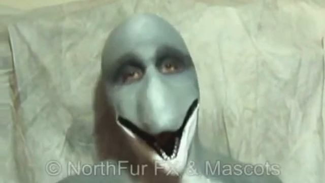 Dolphin muzzle but with sound partial