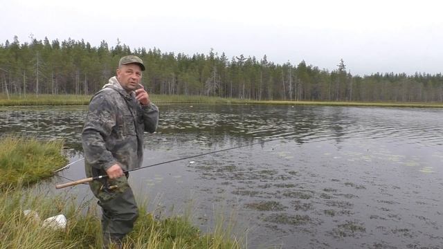 Рыбалка на спиннинг с мышью. В Карелии на ламбушке. Мышь опять побеждает. смотреть онлайн