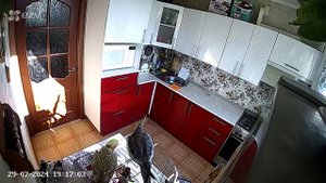 карелла попугай .mp4