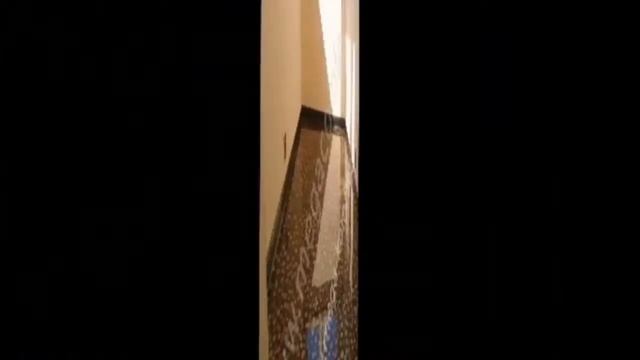 Наливные 3d полы. Свойства, качества и преимущества наливных полов 3д. смотреть онлайн