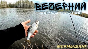 Когда приезжаешь на рыбалку, а рыба тебя ждала. Вогулка. МОРМЫШИНГ НАНОДЖИГ УЛЬТРАЛАЙТ