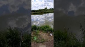 27 июля 2020 г.   Рыбалка в  д.Поярково Ряз губернии!