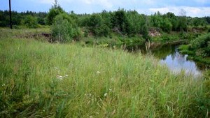 Река теша Кулебаки Нижегородская область