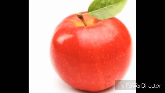 Можно & нельзя/что можно есть попугаем и не только смотреть онлайн