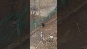 Вот так живут пенсионеры в Уфе