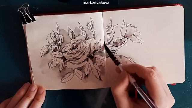 Цветы перьевой ручкой (speed paint) смотреть онлайн