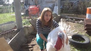 Фермерское Хозяйство! Видео-план канала "Фермер Старт"!!