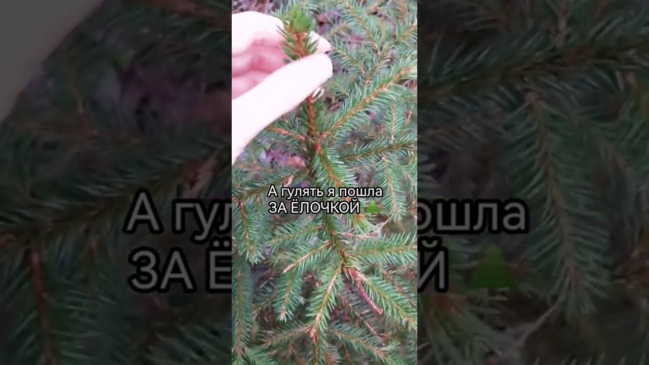 ±Самая длинная ночь в уходящем 2023г #СлавянскийНовыйГод❄️и вот она нарядная самый короткий день смотреть онлайн