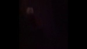 Дон Дигидон