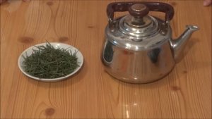 ЧАЙ ИЗ СОСНОВЫХ ИГОЛОК / TEA pine needles