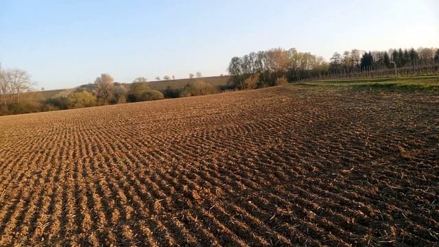 КОП в Германии -2020  с EQUINOX 800. WESTWALL - BUNKER 1939-1945!!!
