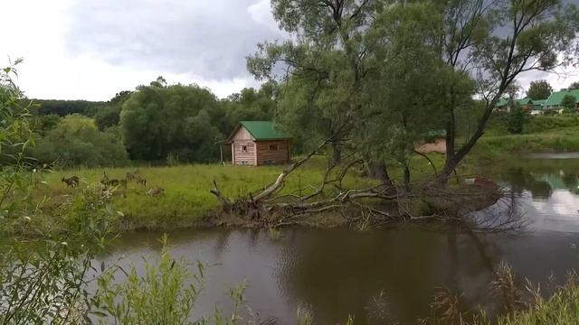ПРОШЛО ПЯТЬ ЛЕТ! ПРУД СВОИМИ РУКАМИ! КАК ПОСТРОИТЬ ПРУД НА ДАЧЕ СВОИМИ РУКАМИ!