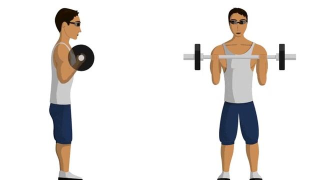 Подъем штанги на бицепс смотреть онлайн