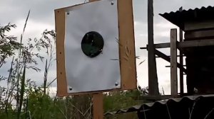 Пульки гамма Квинтор 0,80 грамм на 15 метров.