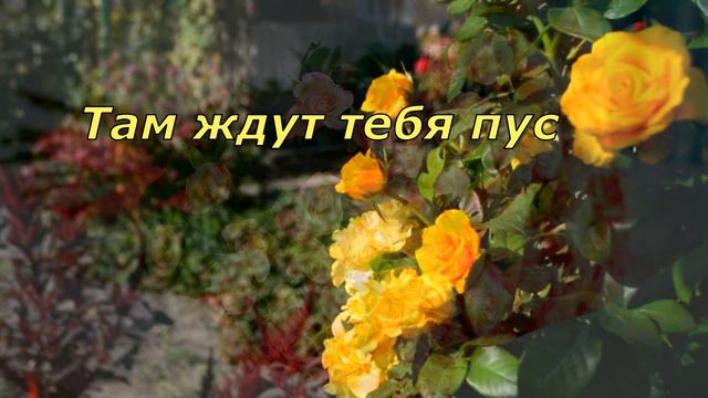 С добрым утром воскресенья! Красивая музыкальная открытка!