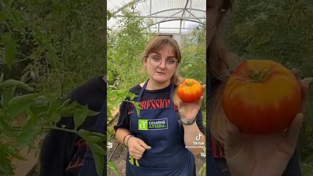 Сульфат калия.