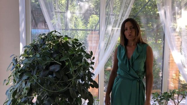 СТЕФАНОТИС УХОД В ДОМАШНИХ УСЛОВИЯХ | ПЛОДЫ МАДАГАСКАРСКОГО ЖАСМИНА 4К