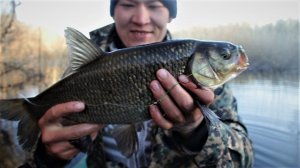 Рыбалка на перемет. Первый выезд. Сом, щука, огромный голавль.Рыбалка с ночевкой.