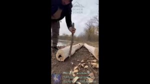 Охота. Нодья из двух бревен.