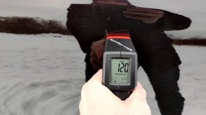 Datsun on-Do/ Датсун он-До/ авто с пробегом