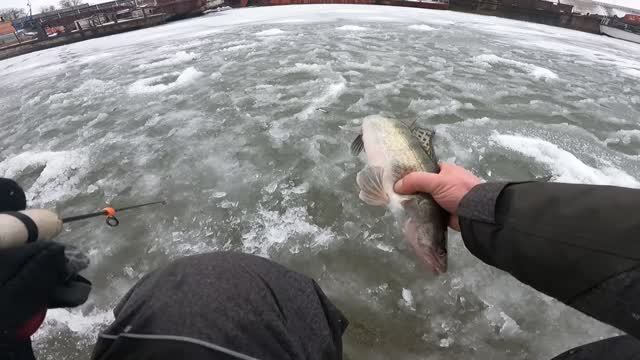 КАК ЛОВИТЬ НА ВИБЫ, ОСНАЩЕНИЕ УДОЧКИ ДЛЯ ЛОВЛИ СУДАКА, ЛОВЛЯ СУДАКА НА ВИБЫ В ДЕКАБРЕ 2022 смотреть онлайн