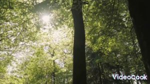 Медитация, расслабление, глубокий сон.