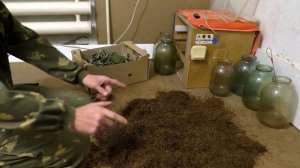 Табаководство: Ферментация  табака + яблоня и вишня.