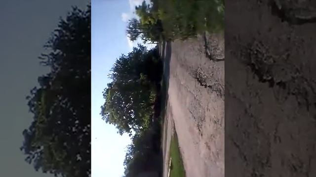 Все о  чернолесском