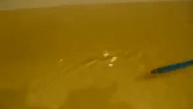 Воблер ручной работы из бальзы.155 мм смотреть онлайн