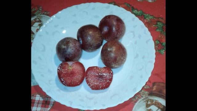 Не бюджетное меню: австралийский плуот смотреть онлайн