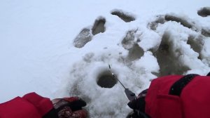 ЗИМНЯЯ РЫБАЛКА. ЛОВЛЯ ОКУНЯ НА ТОПОРИК! КОНКУРС!