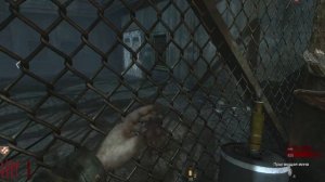 Call of Duty World at War - Zombies - Выживание 4 - Великан (кооп) (Сложность - Ветеран) (Волна 11)