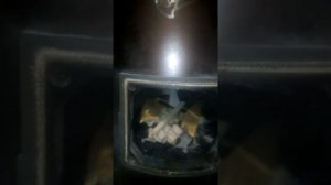 Короткий обзор котла длительного горения Liepsnele 40U