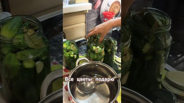 Все подарю