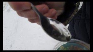 Как лечить лишай народными методами