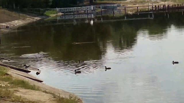 Луганск. Отдых и рыбалка на Луганском море.//Luhansk. Recreation and fishing on the Lugansk Sea.// смотреть онлайн