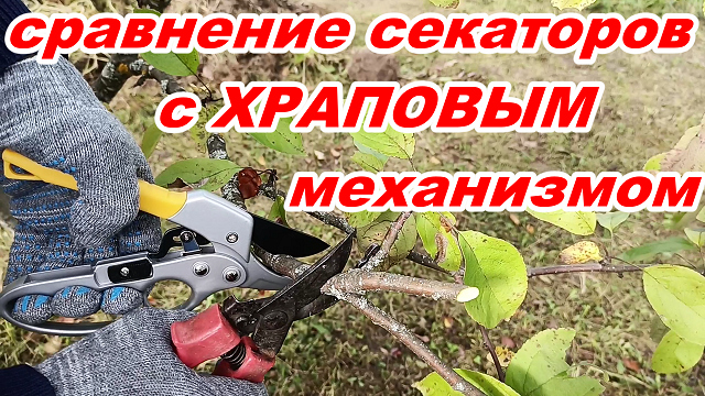 Отличный секатор с храповым механизмом !  Сравнение секаторов в работе ! Выбрать садовый секатор !